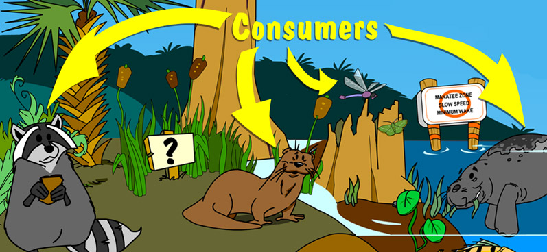 Illustration of consumers
