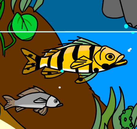 Illustration of Fish