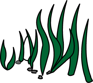 Underwater ecosystem illustration