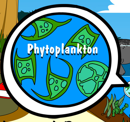Illustration of Phytoplankton