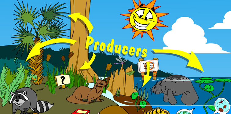 Illustration of producers in this habitat