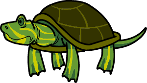 Turtle illustration