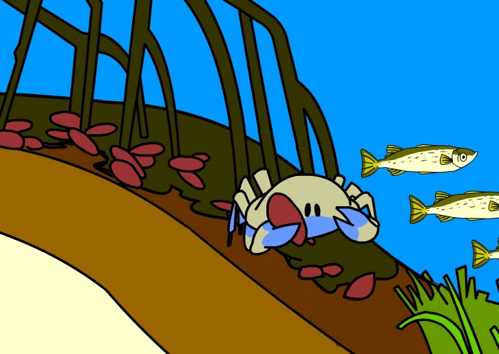 Illustration of a crab holding a leaf