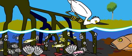 Illustration of a mangrove ecosystem