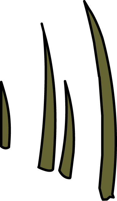 Illustration of tall grass