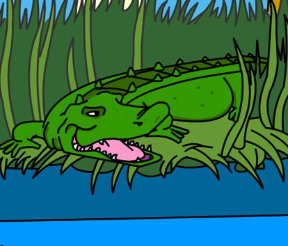 Illustration of a raccoon holding a fish