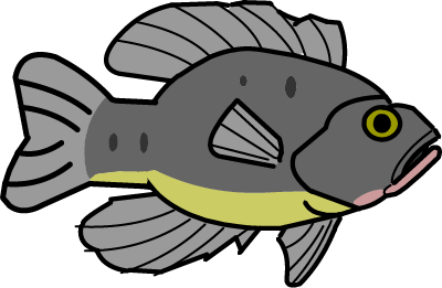 Illustration of a gray fish