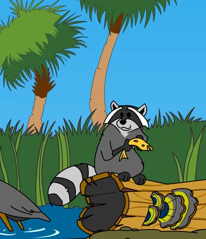 Illustration of a raccoon holding a fish