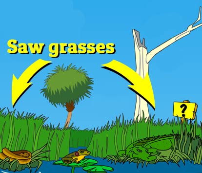 Illustration of a raccoon holding a fish