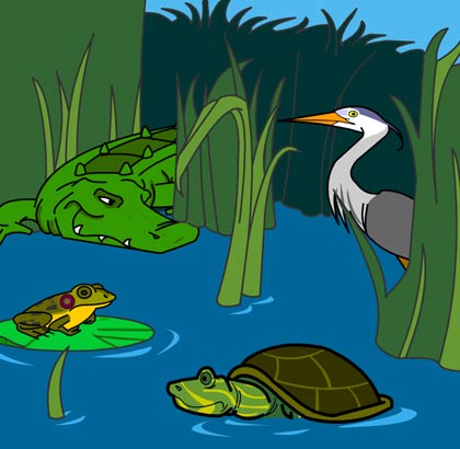 Illustration of wetland animals