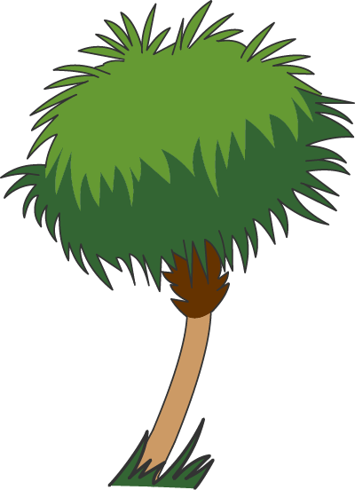 Illustration of a palm tree