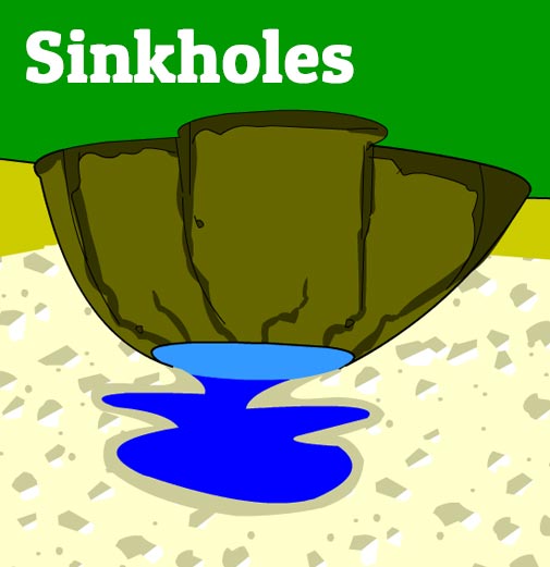 Illustration of producers in this habitat