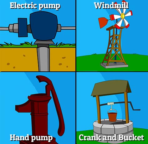 Illustration of producers in this habitat